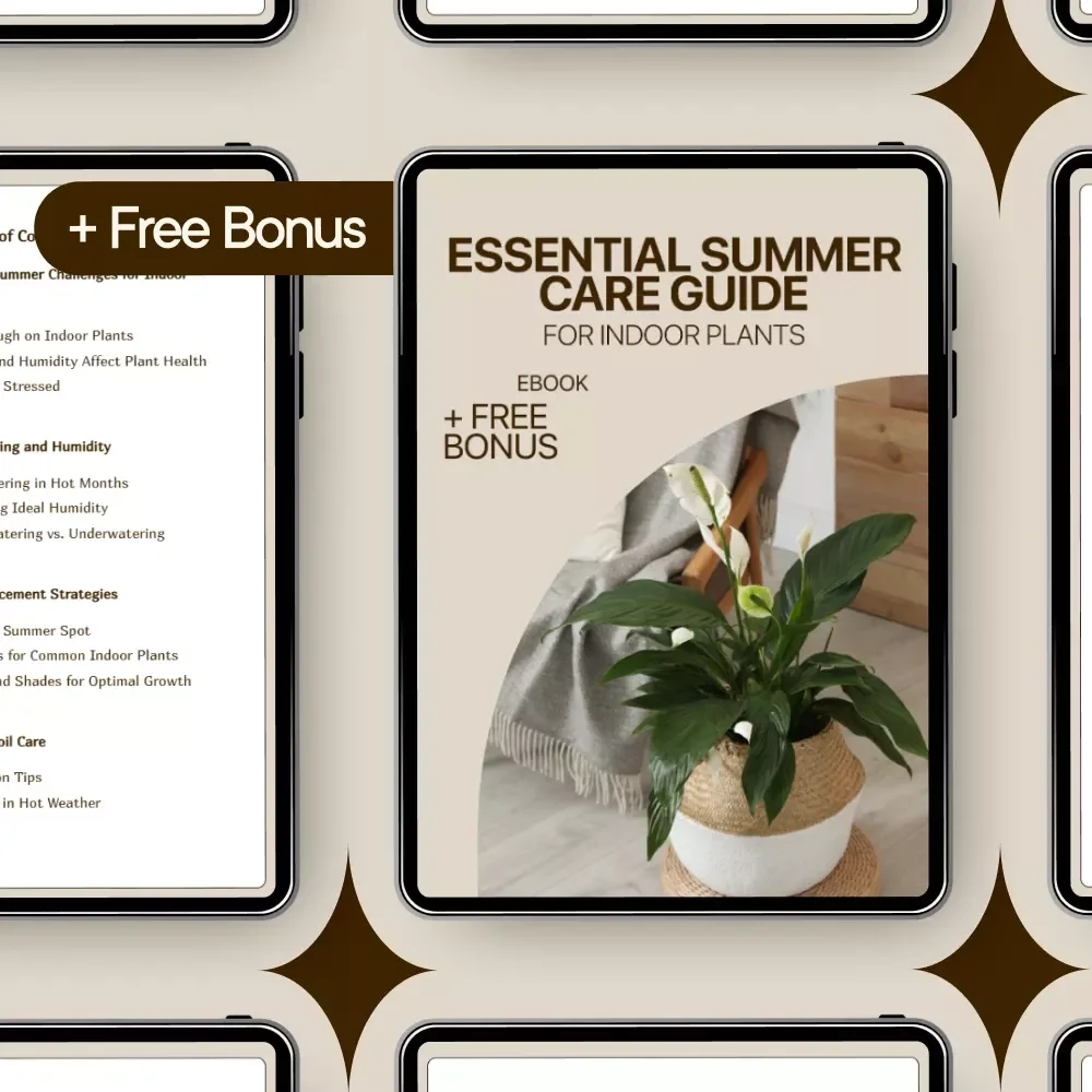 Essential Summer Care Guide for Indoor Plants | Digital Ebook for Indoor Plants Summer Care, Watering, Light & Pest Prevention