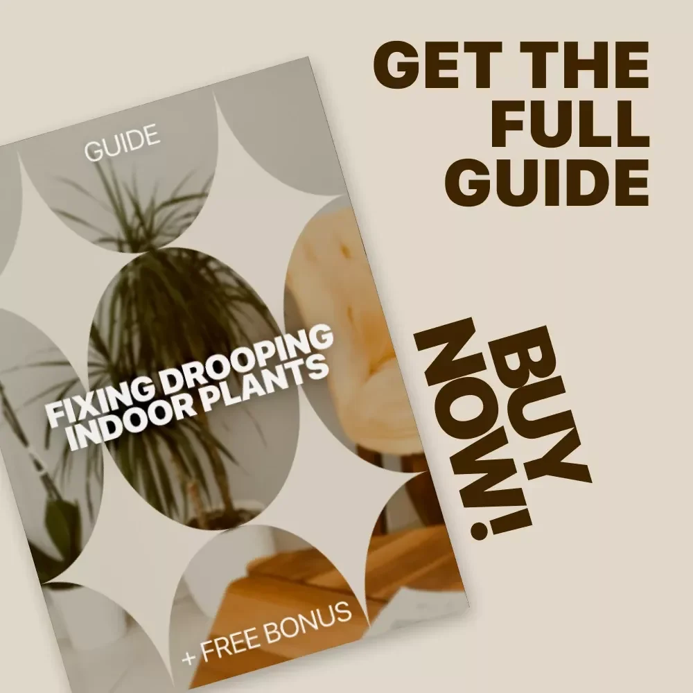 Fixing Drooping Indoor Plants: Expert Guide on Indoor Plants Drooping Causes, Watering, Pests, and Recovery Tips