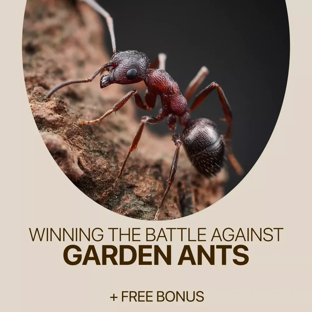 Winning the Battle Against Garden Ants – Practical Guide for Home Garden Ant Problem Solutions, Natural Prevention, Targeted Control & Long-Term Garden Care