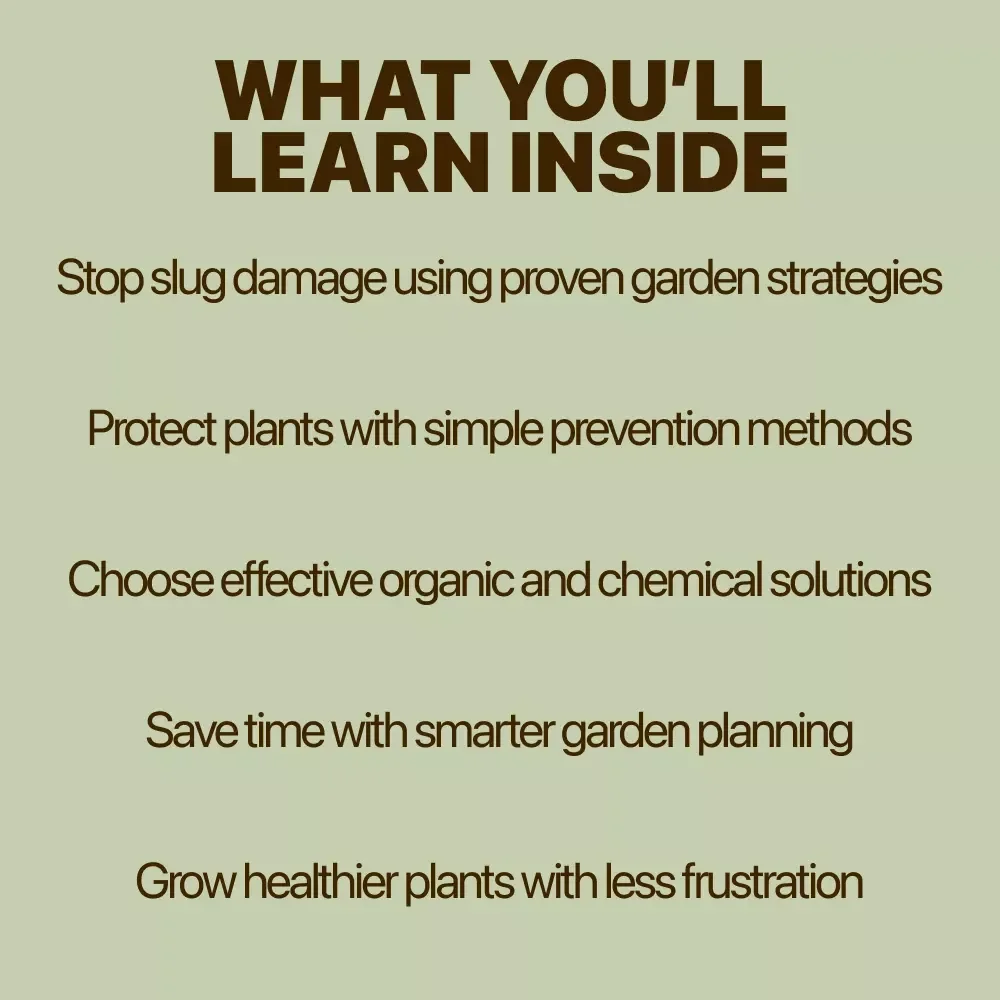 Slug-Free Gardens: Smart Strategies for Home Growers | Practical Guide to Solving the Home Garden Slug Problem