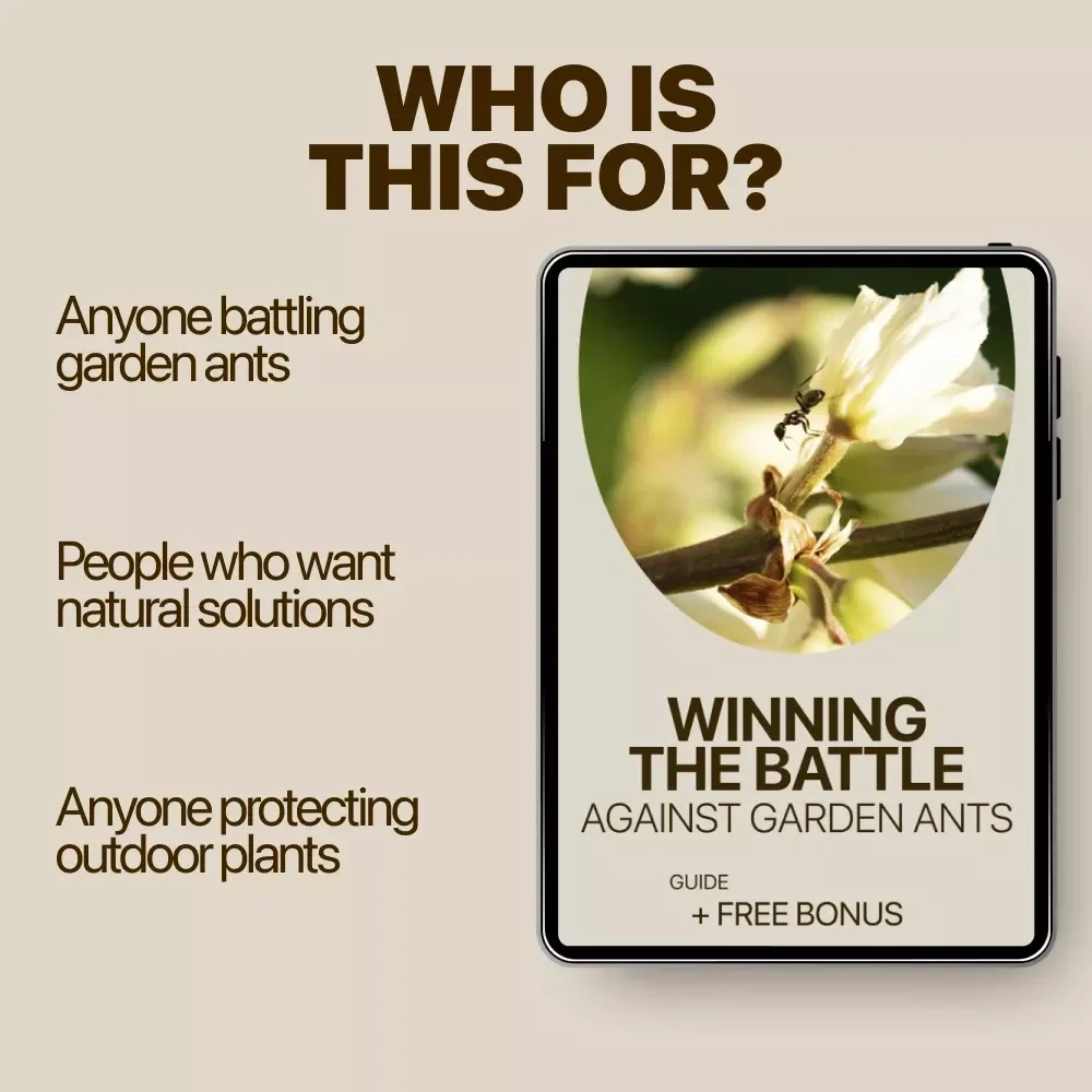 Winning the Battle Against Garden Ants – Practical Guide for Home Garden Ant Problem Solutions, Natural Prevention, Targeted Control & Long-Term Garden Care