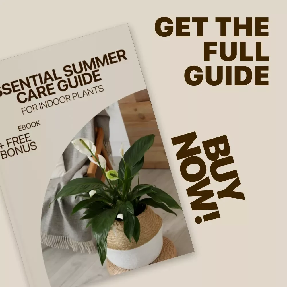 Essential Summer Care Guide for Indoor Plants | Digital Ebook for Indoor Plants Summer Care, Watering, Light & Pest Prevention