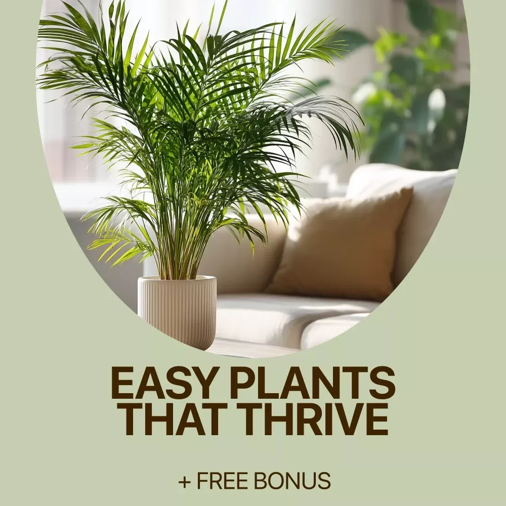 Easy Plants That Thrive: The Ultimate Beginner’s Guide to Easy Plants for Beginners, Indoor and Outdoor Gardening Success eBook