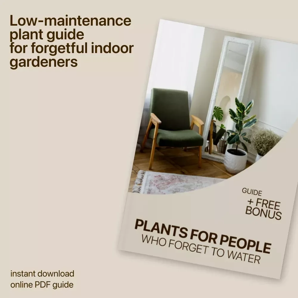 Plants for People Who Forget to Water – The Ultimate Guide to Low-Maintenance Indoor Plants for Forgetful Waterers