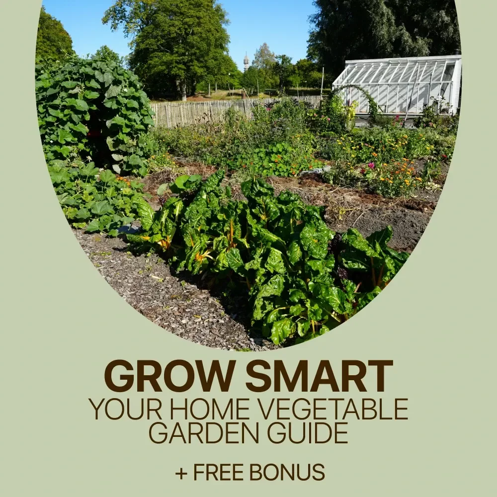 Grow Smart: Your Home Vegetable Garden Guide | Home Vegetable Garden Care eBook for Beginners & Smart Gardeners