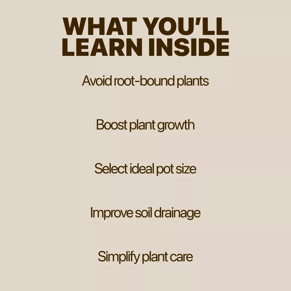 Container Size Guide for Healthy Plants – Ultimate Digital Guide to Choosing the Perfect Pot, Plant Growth Tips, and AI-Optimized Container Size Guide for Plants