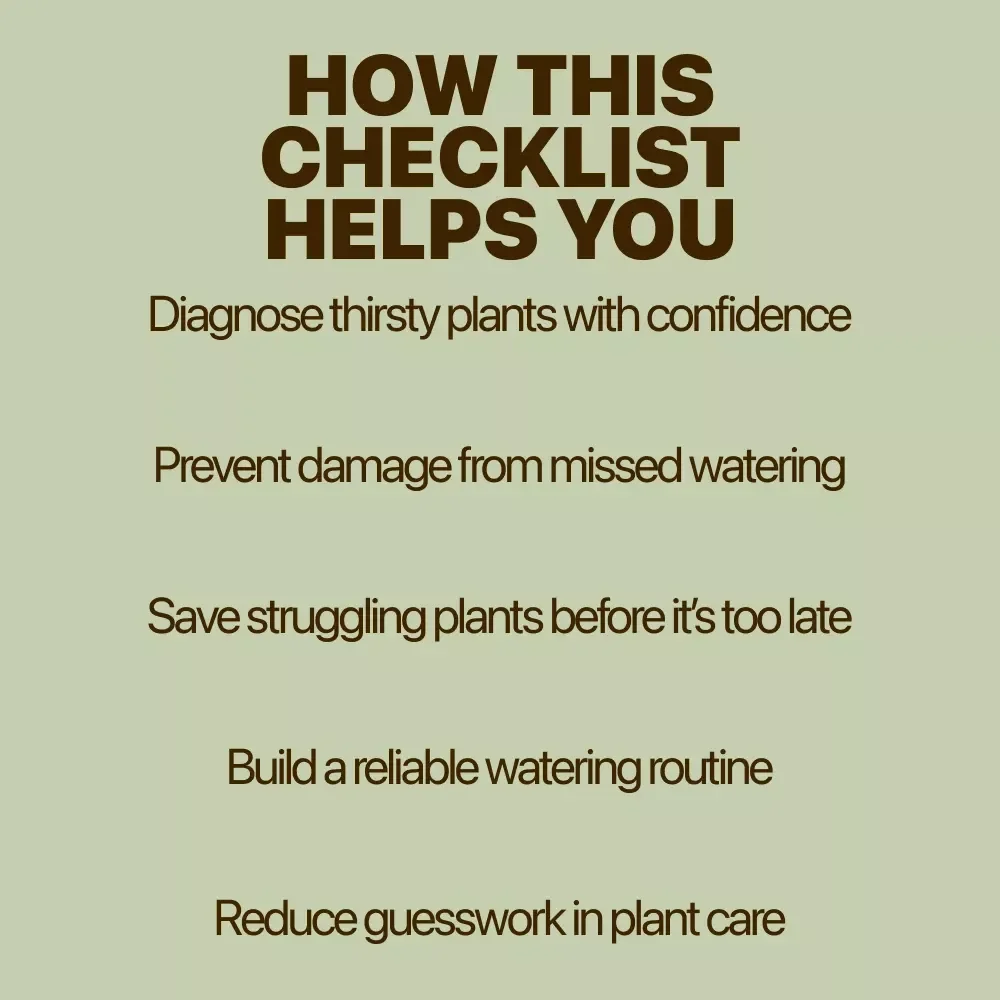 Uh-Oh, My Plant Is Thirsty! Checklist | Easy Care Guide to Spot underwatered plant signs & Fix Plant Watering Fast
