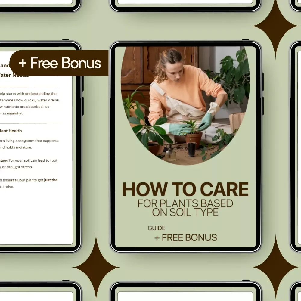 How to Care for Plants Based on Soil Type – Expert Guide to Watering Plants by Soil Type, Smart Moisture Tips, and Soil-Based Plant Care
