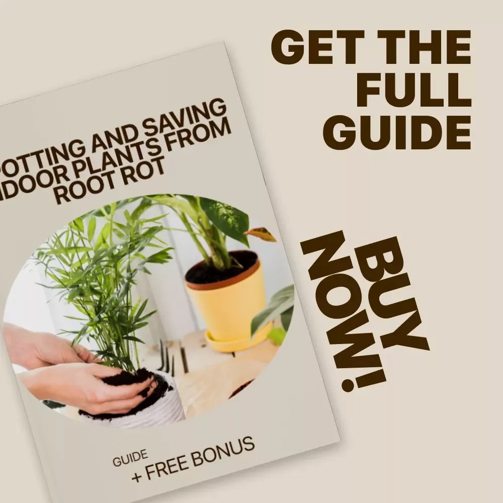 Spotting and Saving Indoor Plants from Root Rot – Ultimate Guide to Indoor Plants Root Rot Signs, Prevention, and Recovery Checklist