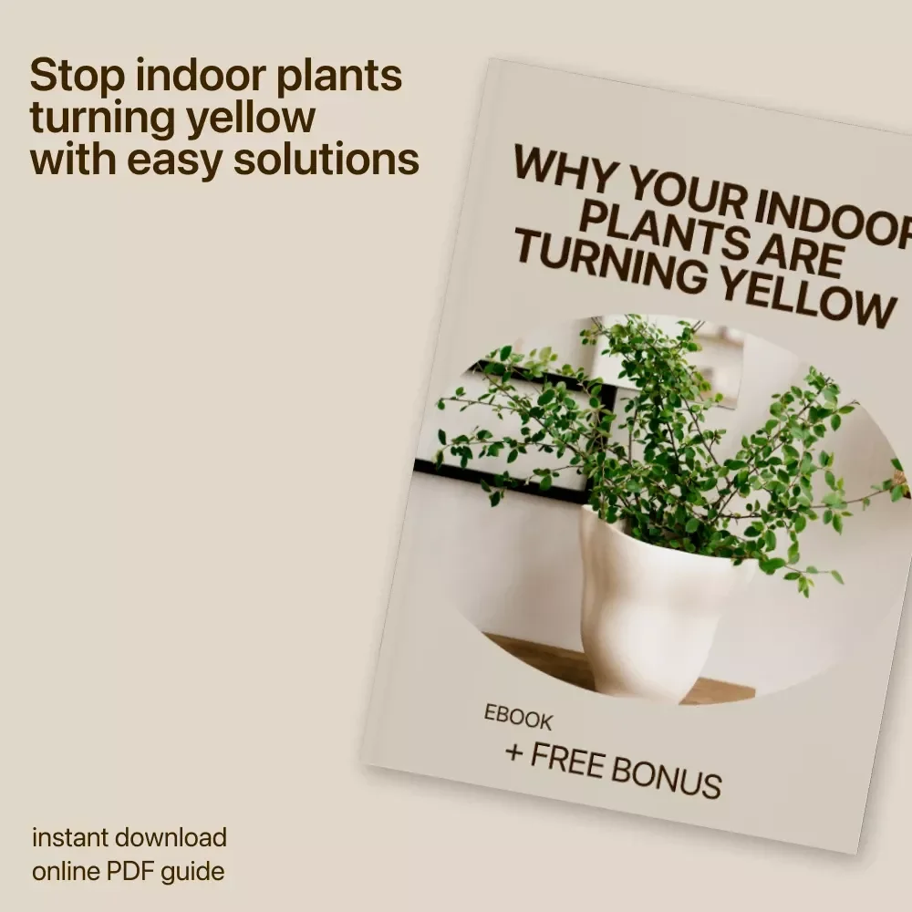 Why Your Indoor Plants Are Turning Yellow: The Ultimate eBook Guide to Fixing Indoor Plants Turning Yellow, Healthy Leaves, and Plant Care Tips