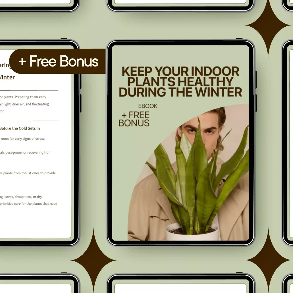 Keep Your Indoor Plants Healthy During the Winter | Indoor Plants Winter Care eBook for Thriving Houseplants