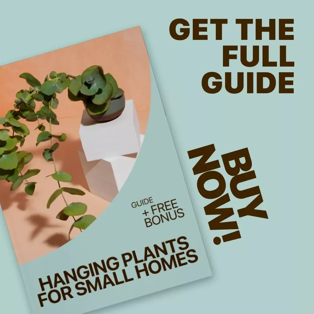 Hanging Plants for Small Homes: The Ultimate Guide to Space-Saving Indoor Greenery, Care Tips, and Beginner-Friendly Plant Ideas
