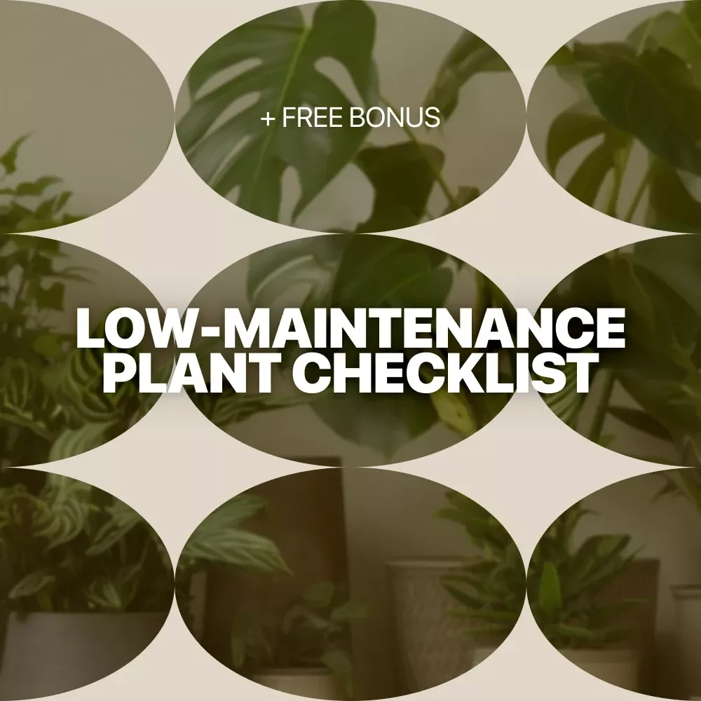 Low-Maintenance Plant Checklist | Easy Care Guide for Low Maintenance Plants | Printable Digital Checklist for Busy Homes & Offices