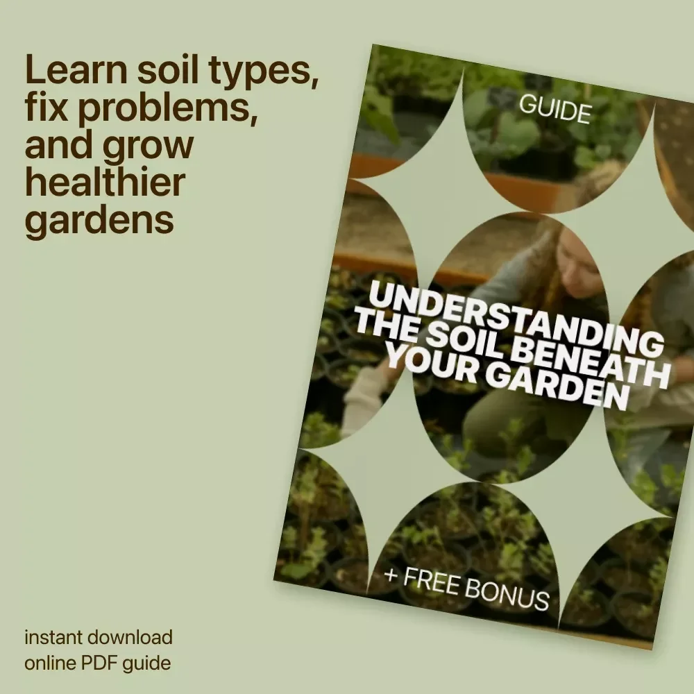 Understanding the Soil Beneath Your Garden – A Practical Guide with Soil Types Explained Simply for Healthier Plants
