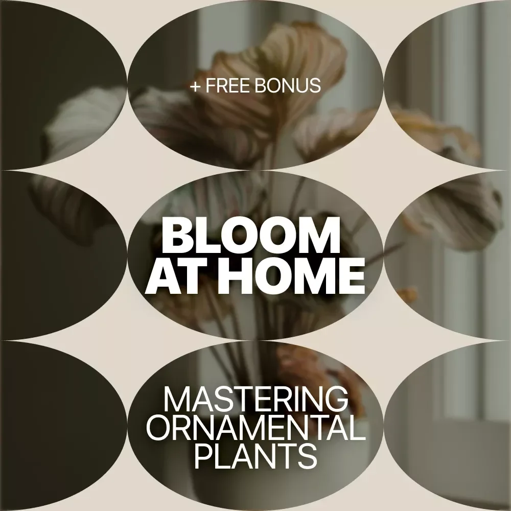 Bloom at Home: Mastering Ornamental Plants | Ebook Guide to Home Ornamental Plants, Indoor Plant Care, Styling & Smart Growing