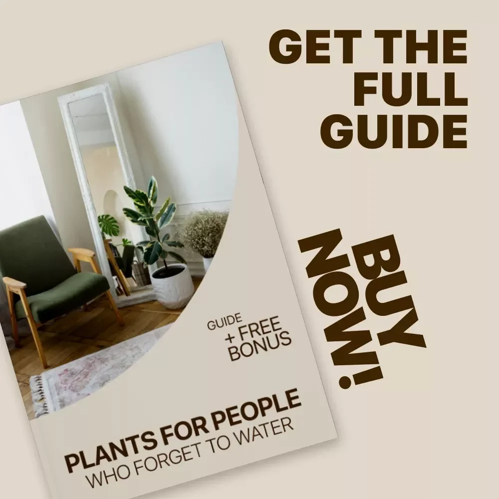 Plants for People Who Forget to Water – The Ultimate Guide to Low-Maintenance Indoor Plants for Forgetful Waterers
