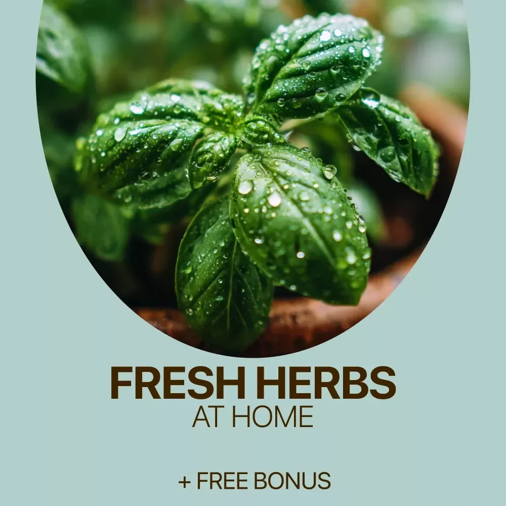 Thrive with Fresh Herbs at Home – A Complete Home Herb Garden eBook for Beginners, Sustainable Living & Smart AI-Guided Growing