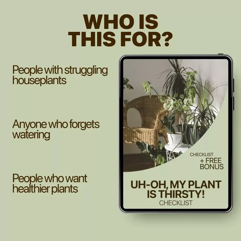Uh-Oh, My Plant Is Thirsty! Checklist | Easy Care Guide to Spot underwatered plant signs & Fix Plant Watering Fast