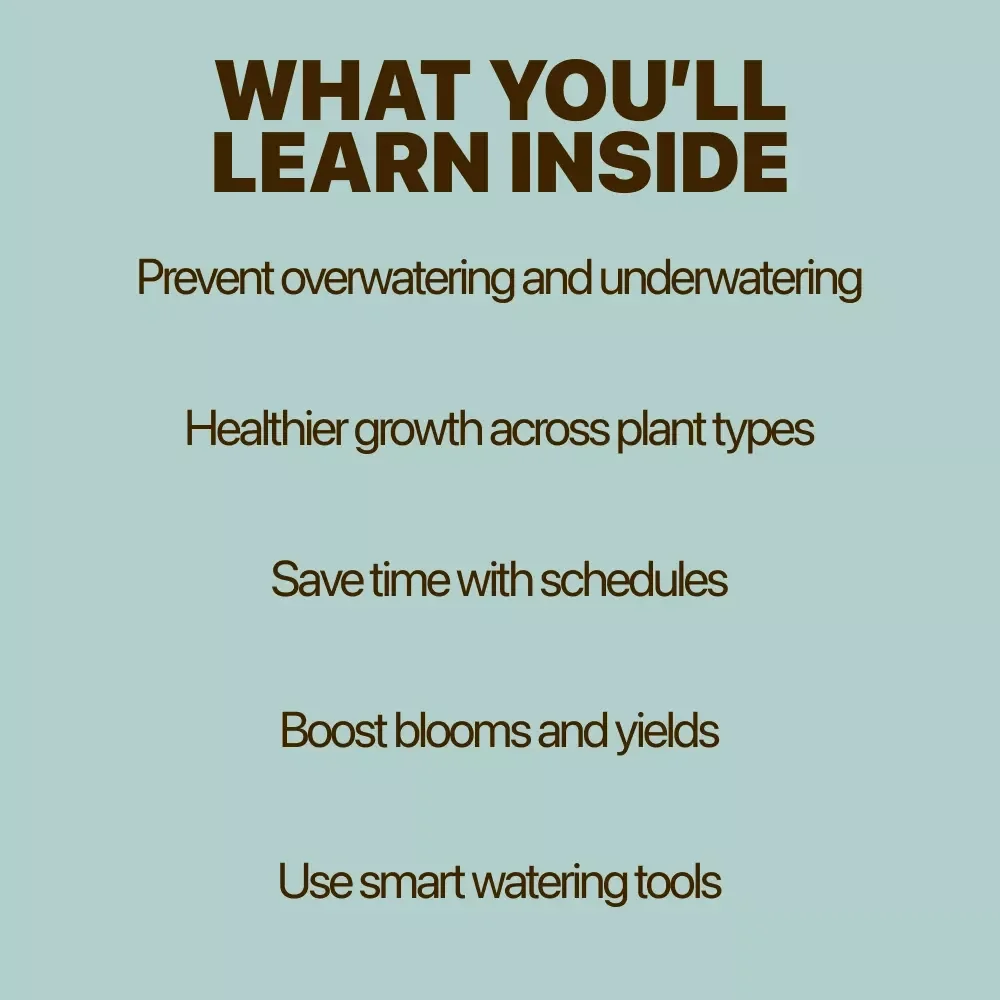Perfect Watering Schedules for Every Plant Type – Complete Guide to a Watering Schedule by Plant Type for Healthy Indoor & Outdoor Plants