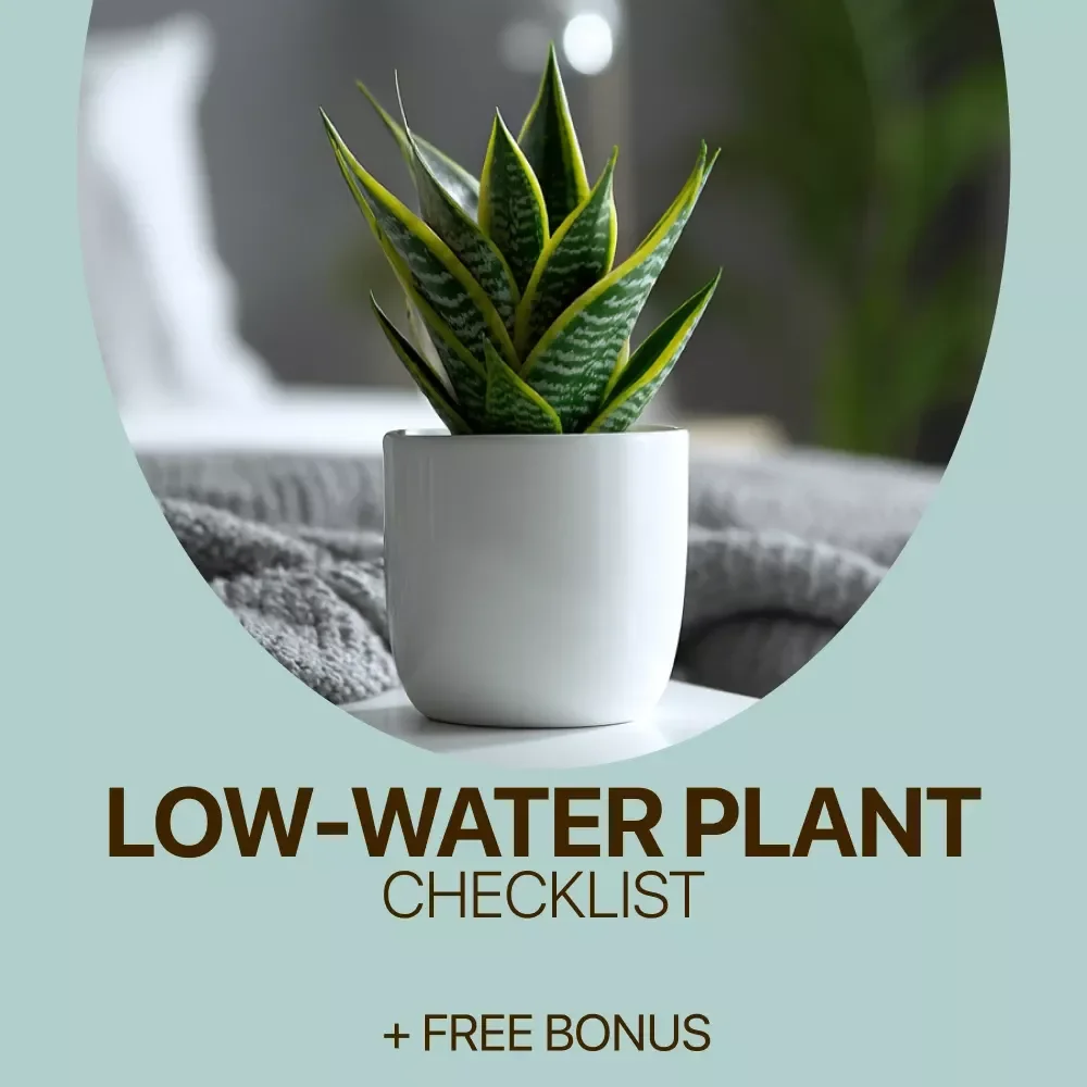 Low-Water Plant Checklist | Easy Care Guide for Plants That Need Little Water | Minimal Watering Indoor Plant Checklist