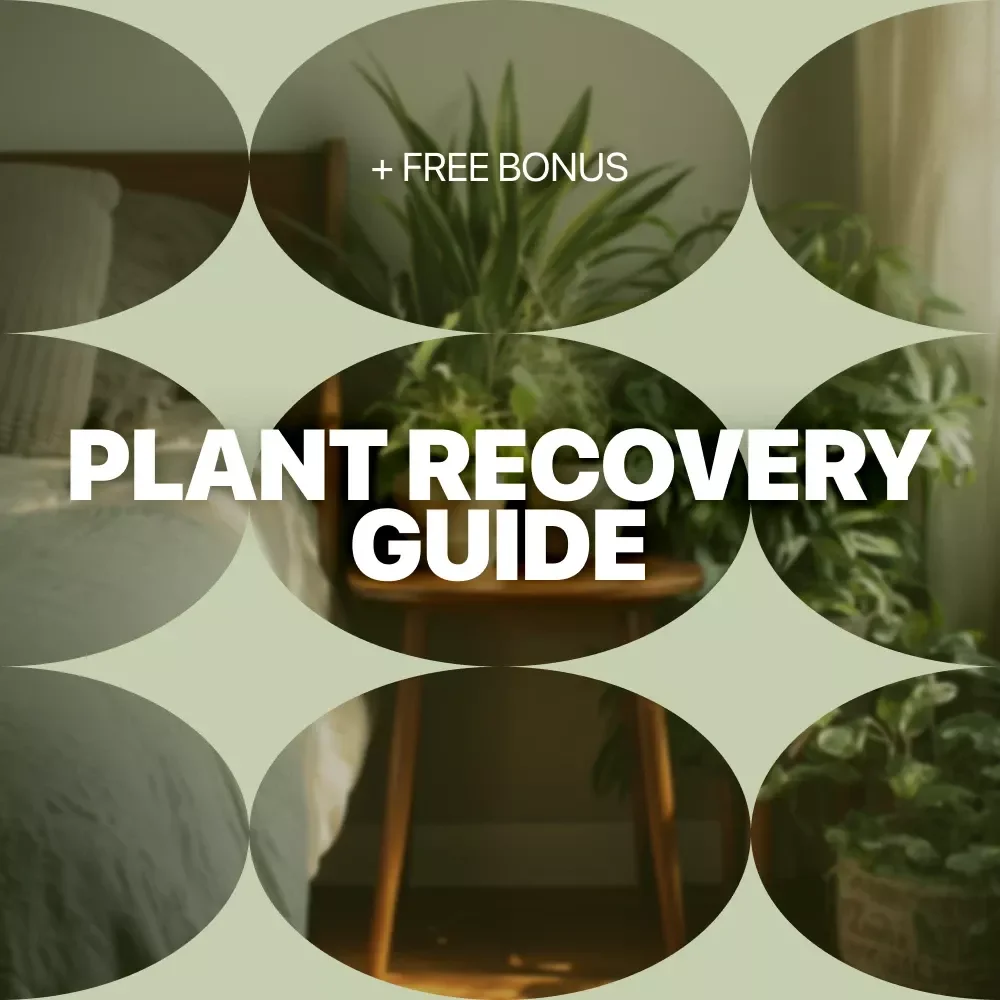 The Essential Guide to Plant Recovery – Practical Plant Recovery Steps eBook for Houseplant Care, Stress Diagnosis & Revival