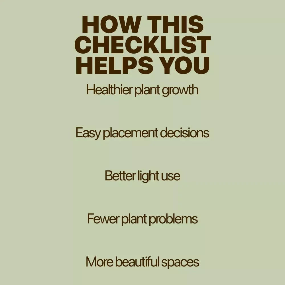 Find the Best Spots for Your Indoor Plants | Easy Home Plant Placement Checklist | best spots for indoor plants