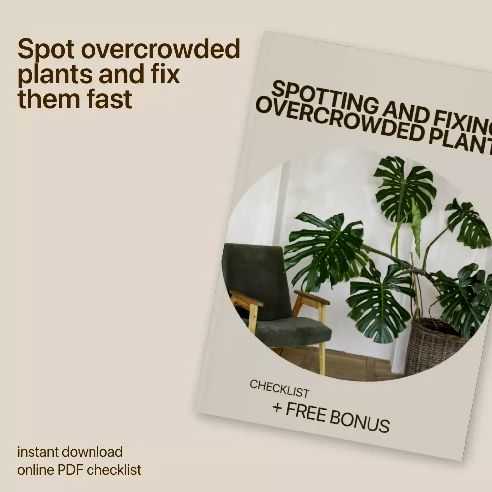 Spotting and Fixing Overcrowded Plants Checklist | Easy Plant Care Guide | Identify Overcrowded Plants Signs & Restore Healthy Growth