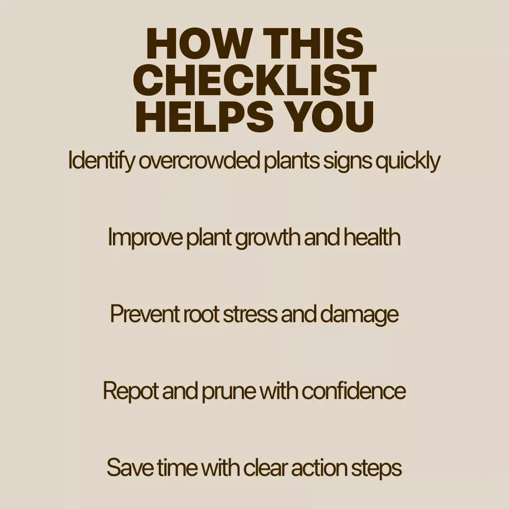 Spotting and Fixing Overcrowded Plants Checklist | Easy Plant Care Guide | Identify Overcrowded Plants Signs & Restore Healthy Growth