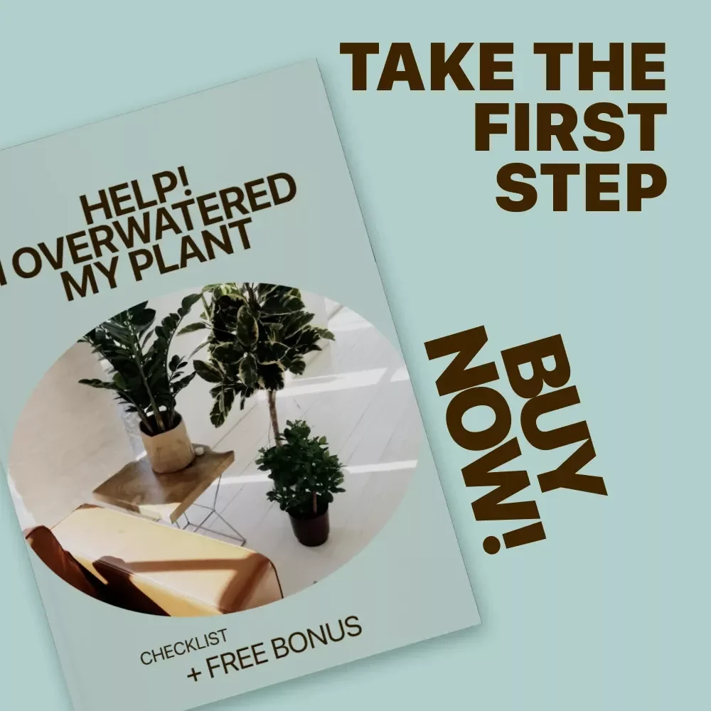 Help! I Overwatered My Plant – Easy Plant Care Checklist for Identifying Overwatered Plant Signs & Fixing Watering Mistakes