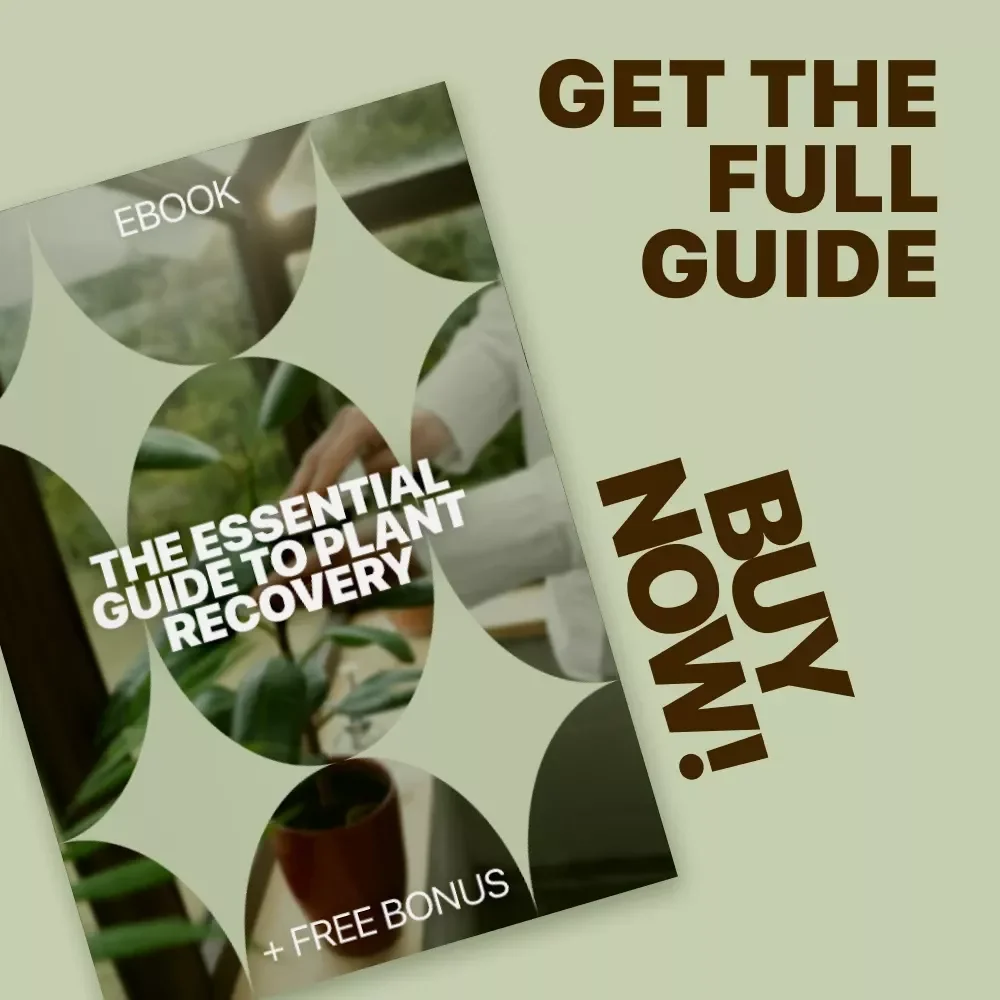 The Essential Guide to Plant Recovery – Practical Plant Recovery Steps eBook for Houseplant Care, Stress Diagnosis & Revival