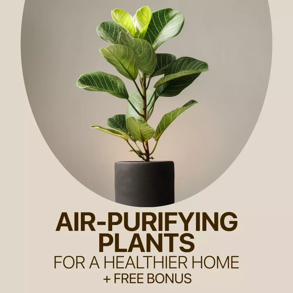 Air-Purifying Plants for a Healthier Home – Digital Guide to Indoor Plants That Clean Air, Easy Care Tips, Modern Indoor Garden eBook