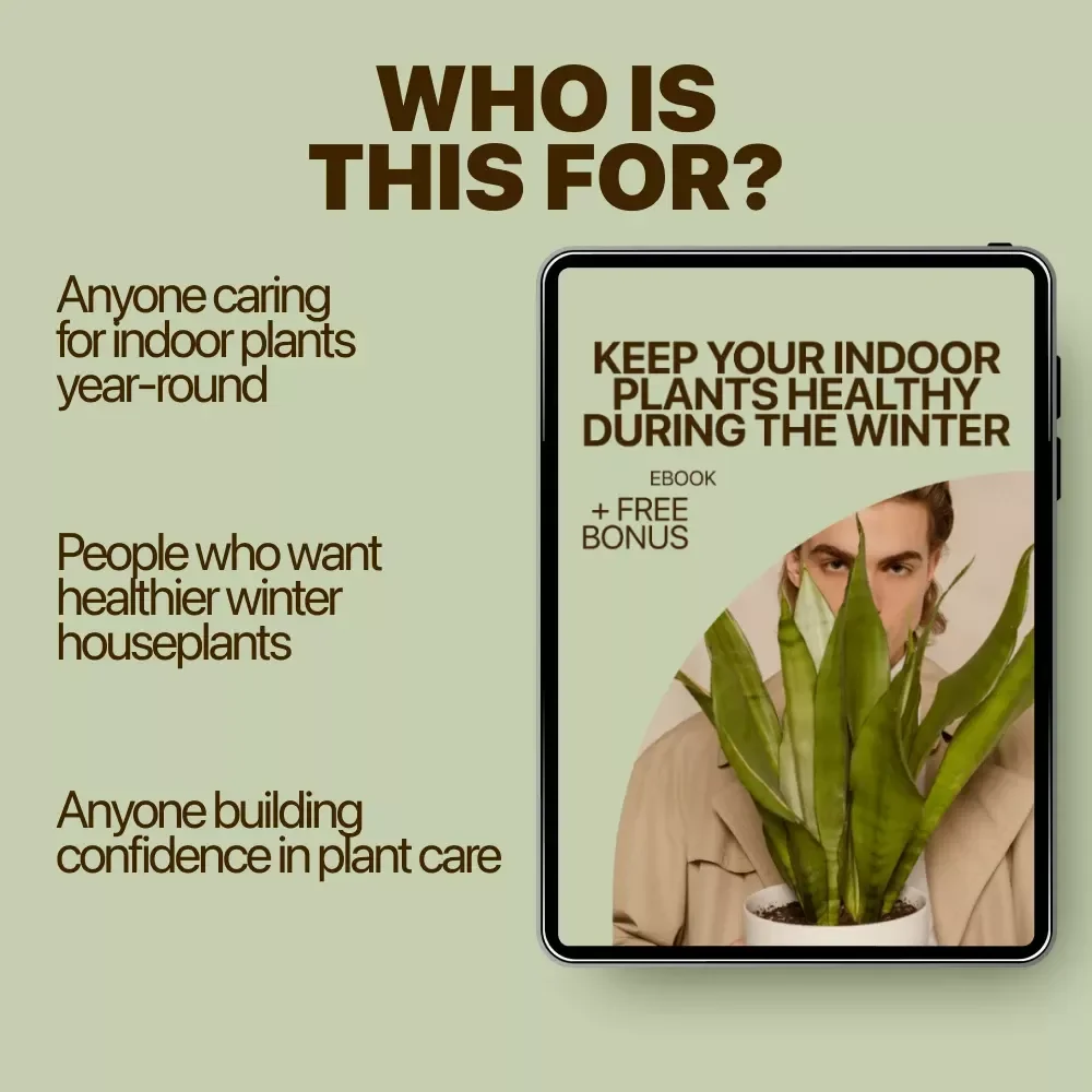 Keep Your Indoor Plants Healthy During the Winter | Indoor Plants Winter Care eBook for Thriving Houseplants