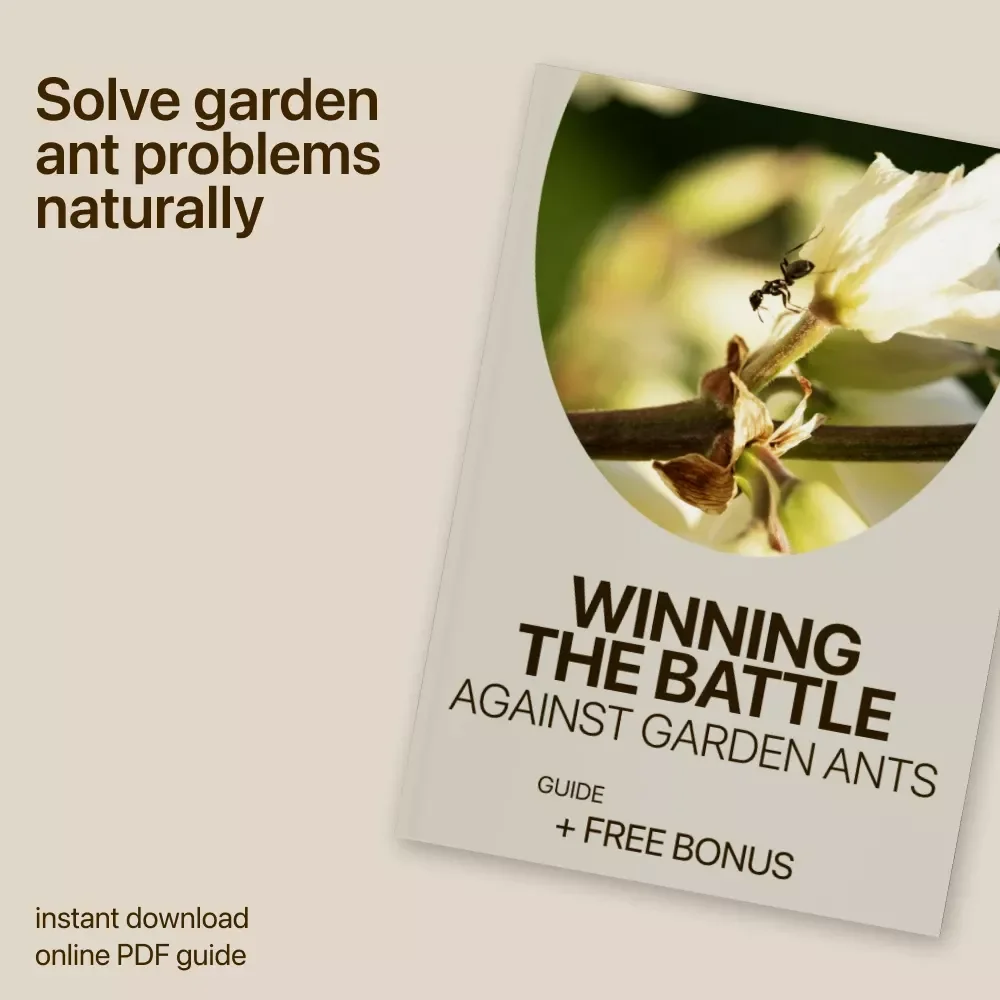 Winning the Battle Against Garden Ants – Practical Guide for Home Garden Ant Problem Solutions, Natural Prevention, Targeted Control & Long-Term Garden Care