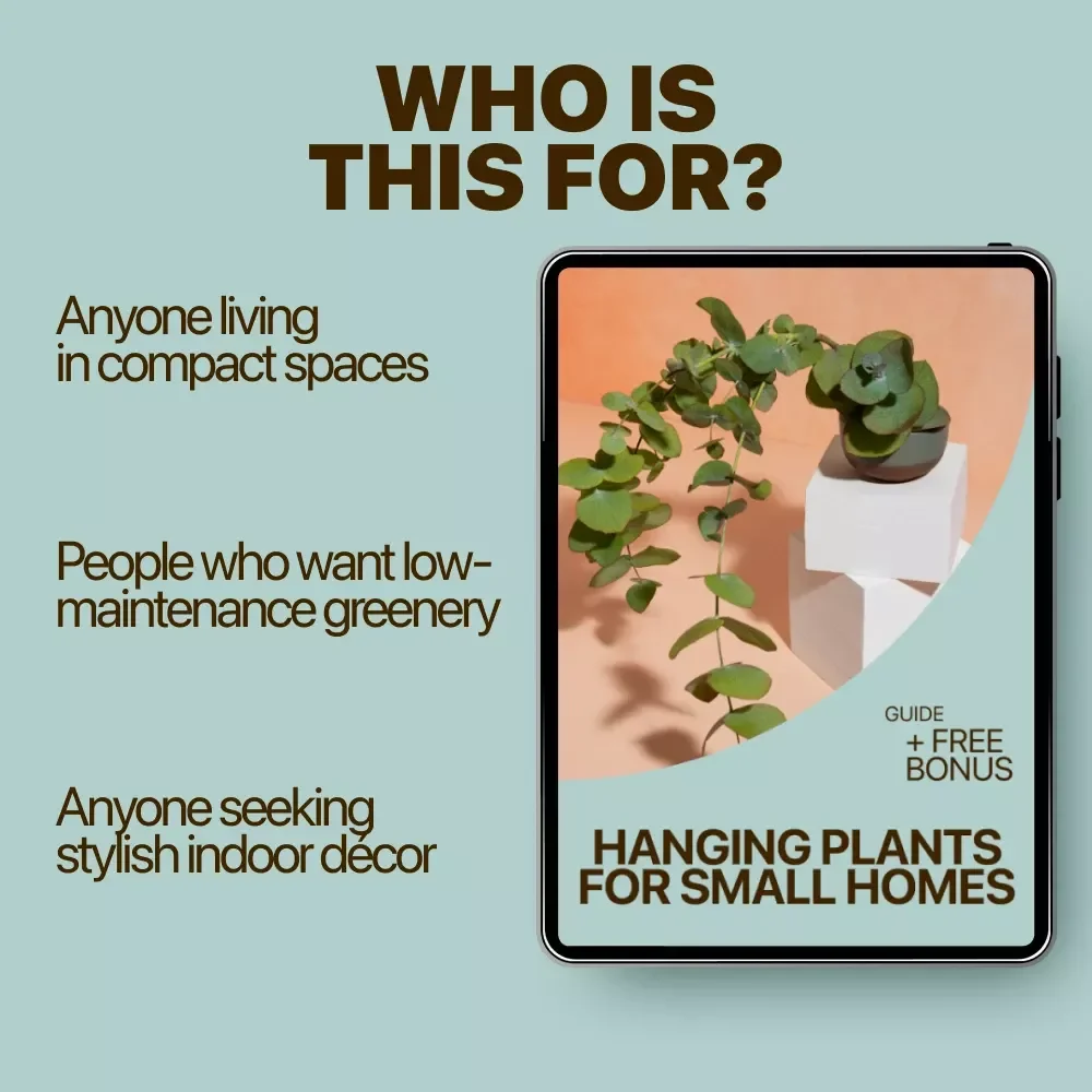 Hanging Plants for Small Homes: The Ultimate Guide to Space-Saving Indoor Greenery, Care Tips, and Beginner-Friendly Plant Ideas