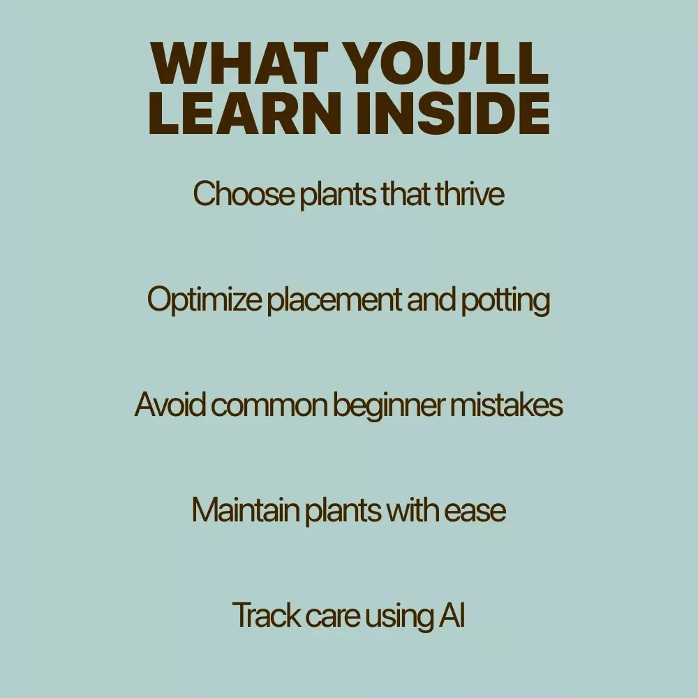 Plants for Low-Light Apartments Guide | Easy Indoor Greenery for Small Spaces | Digital Download for Beginners