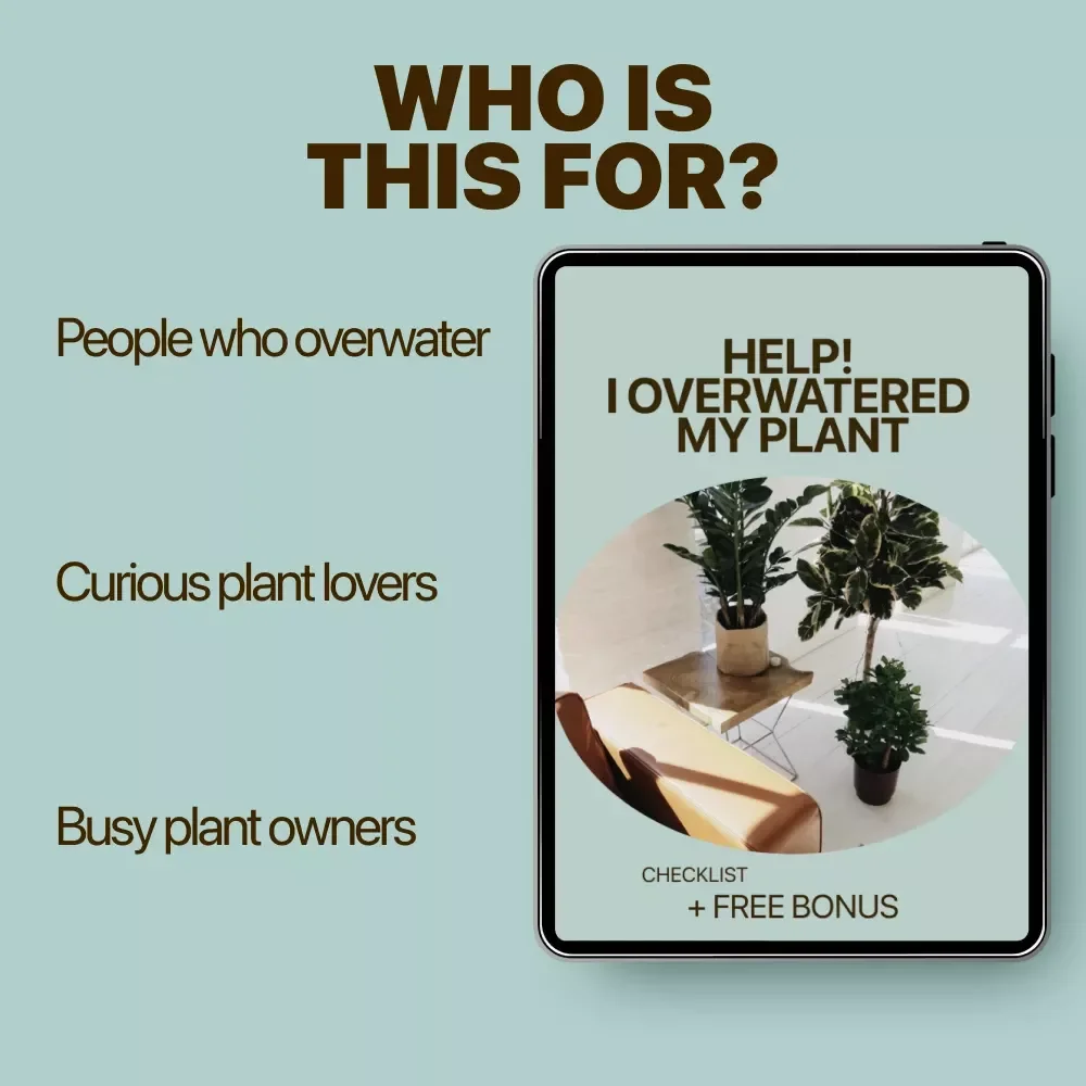 Help! I Overwatered My Plant – Easy Plant Care Checklist for Identifying Overwatered Plant Signs & Fixing Watering Mistakes