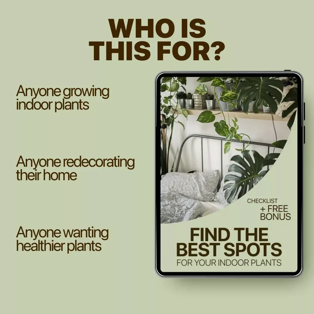 Find the Best Spots for Your Indoor Plants | Easy Home Plant Placement Checklist | best spots for indoor plants