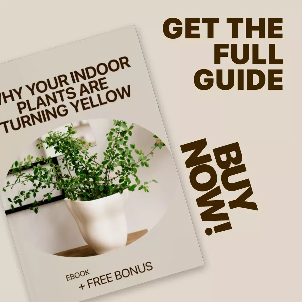 Why Your Indoor Plants Are Turning Yellow: The Ultimate eBook Guide to Fixing Indoor Plants Turning Yellow, Healthy Leaves, and Plant Care Tips