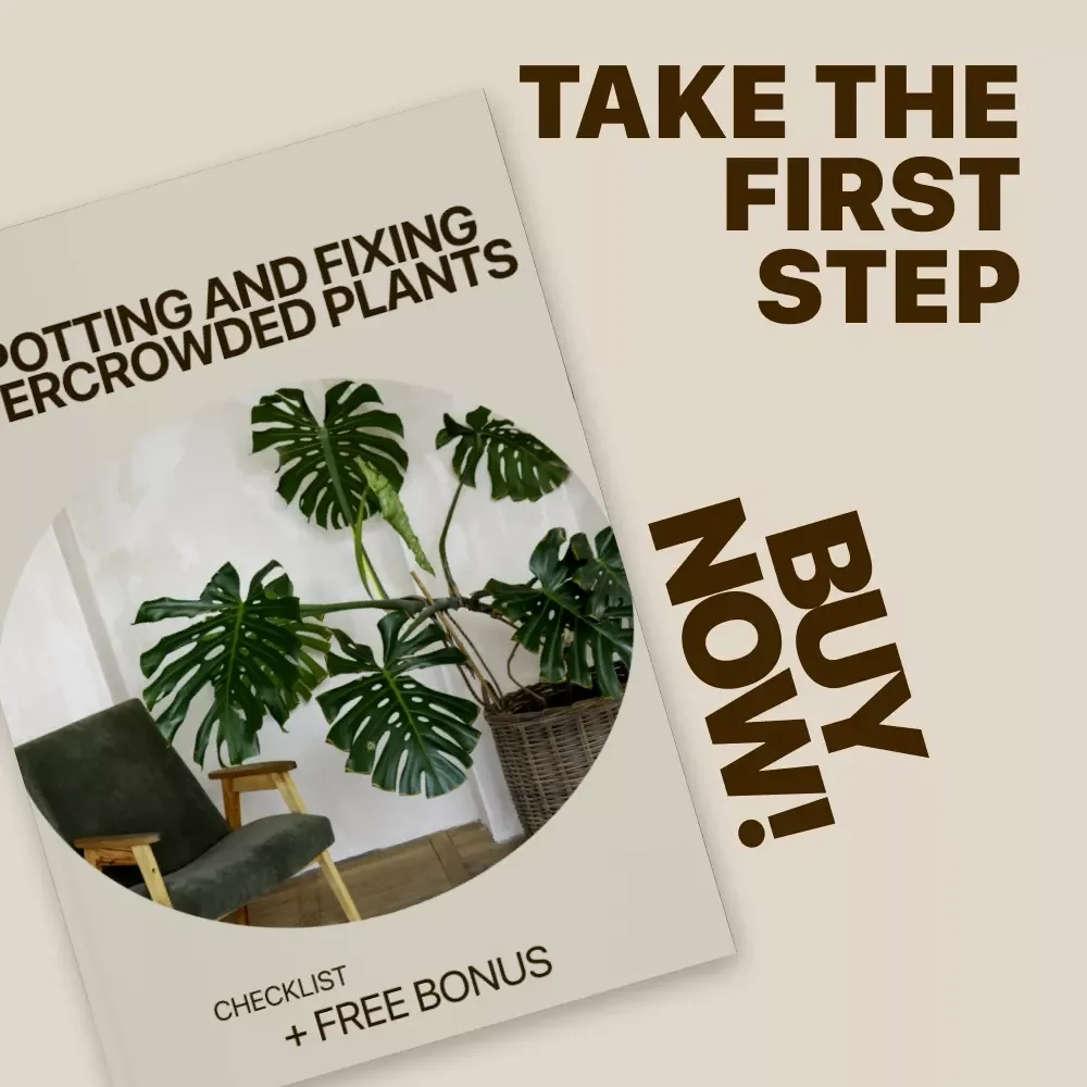 Spotting and Fixing Overcrowded Plants Checklist | Easy Plant Care Guide | Identify Overcrowded Plants Signs & Restore Healthy Growth