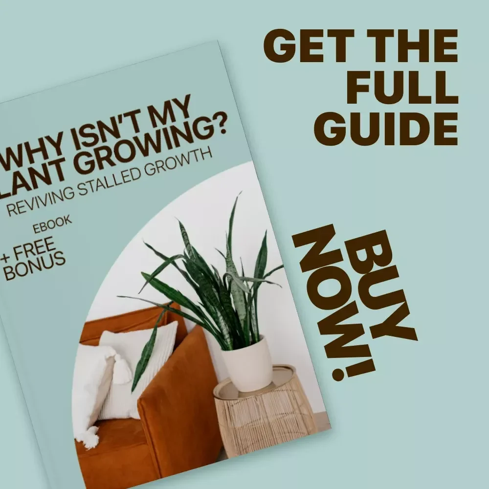 Why Isn’t My Plant Growing? Reviving Stalled Growth | Plant Not Growing Why eBook Guide for Houseplant Care, Growth Fixes & Healthy Plants