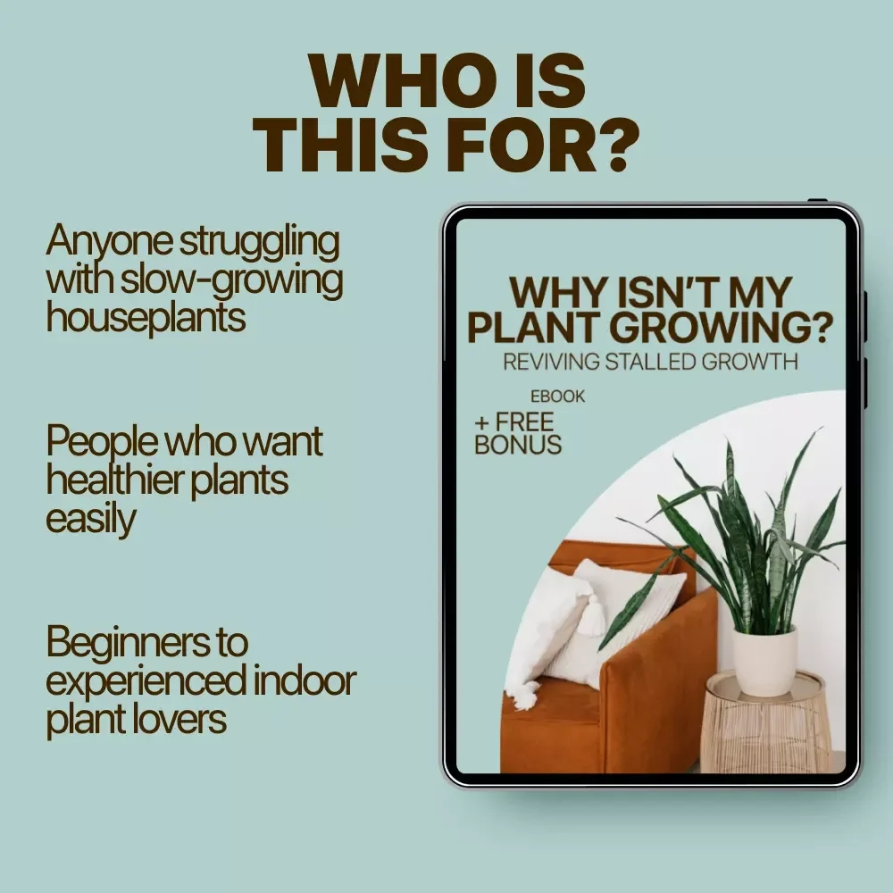 Why Isn’t My Plant Growing? Reviving Stalled Growth | Plant Not Growing Why eBook Guide for Houseplant Care, Growth Fixes & Healthy Plants