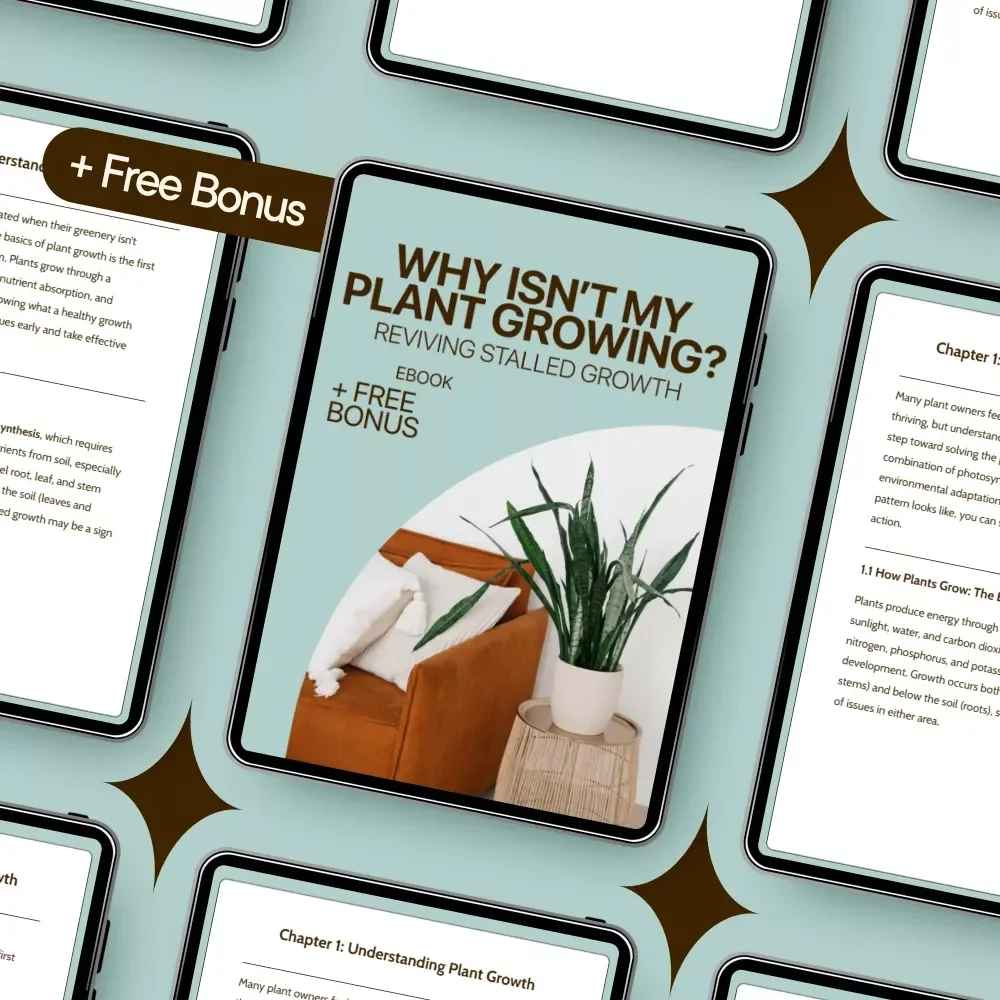 Why Isn’t My Plant Growing? Reviving Stalled Growth | Plant Not Growing Why eBook Guide for Houseplant Care, Growth Fixes & Healthy Plants