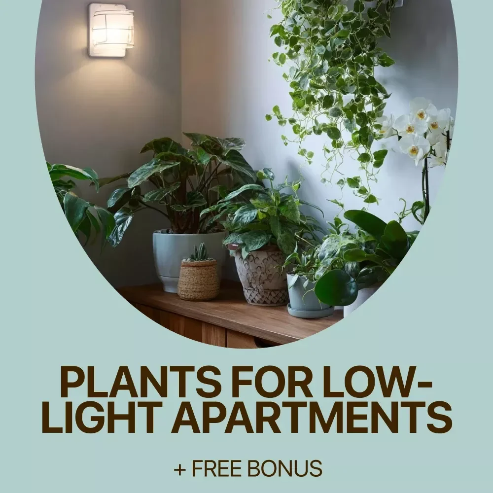 Plants for Low-Light Apartments Guide | Easy Indoor Greenery for Small Spaces | Digital Download for Beginners