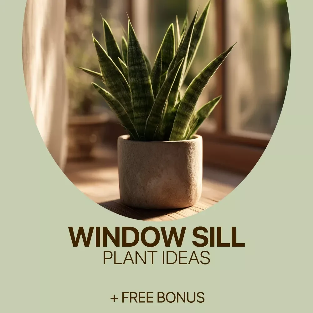 Window Sill Plant Ideas – Easy Indoor Gardening Checklist | Digital Download for Small Spaces, Sunlight Matching & Plant Care