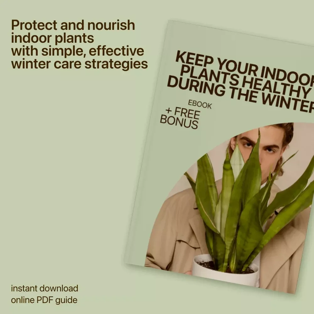 Keep Your Indoor Plants Healthy During the Winter | Indoor Plants Winter Care eBook for Thriving Houseplants