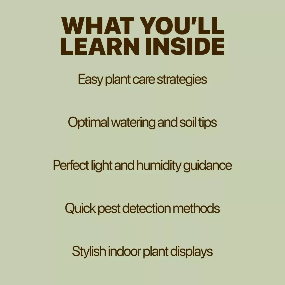 Indoor Oasis for Thriving Houseplants: Complete Guide to Indoor Plant Care Basics eBook, Watering, Light, Soil, and Creative Indoor Displays