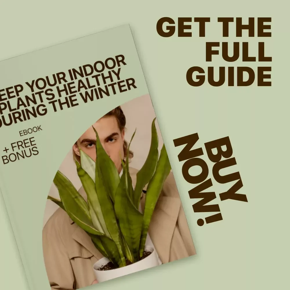 Keep Your Indoor Plants Healthy During the Winter | Indoor Plants Winter Care eBook for Thriving Houseplants