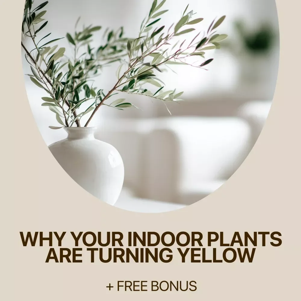 Why Your Indoor Plants Are Turning Yellow: The Ultimate eBook Guide to Fixing Indoor Plants Turning Yellow, Healthy Leaves, and Plant Care Tips