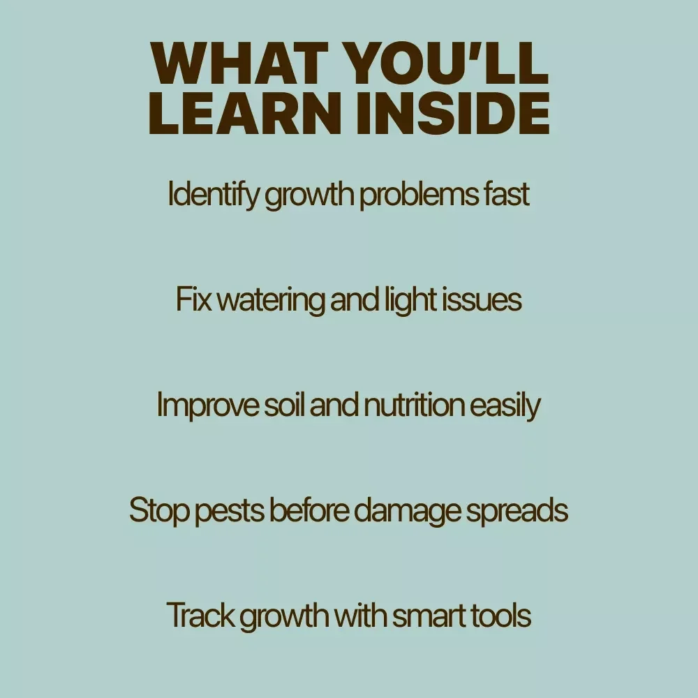 Why Isn’t My Plant Growing? Reviving Stalled Growth | Plant Not Growing Why eBook Guide for Houseplant Care, Growth Fixes & Healthy Plants