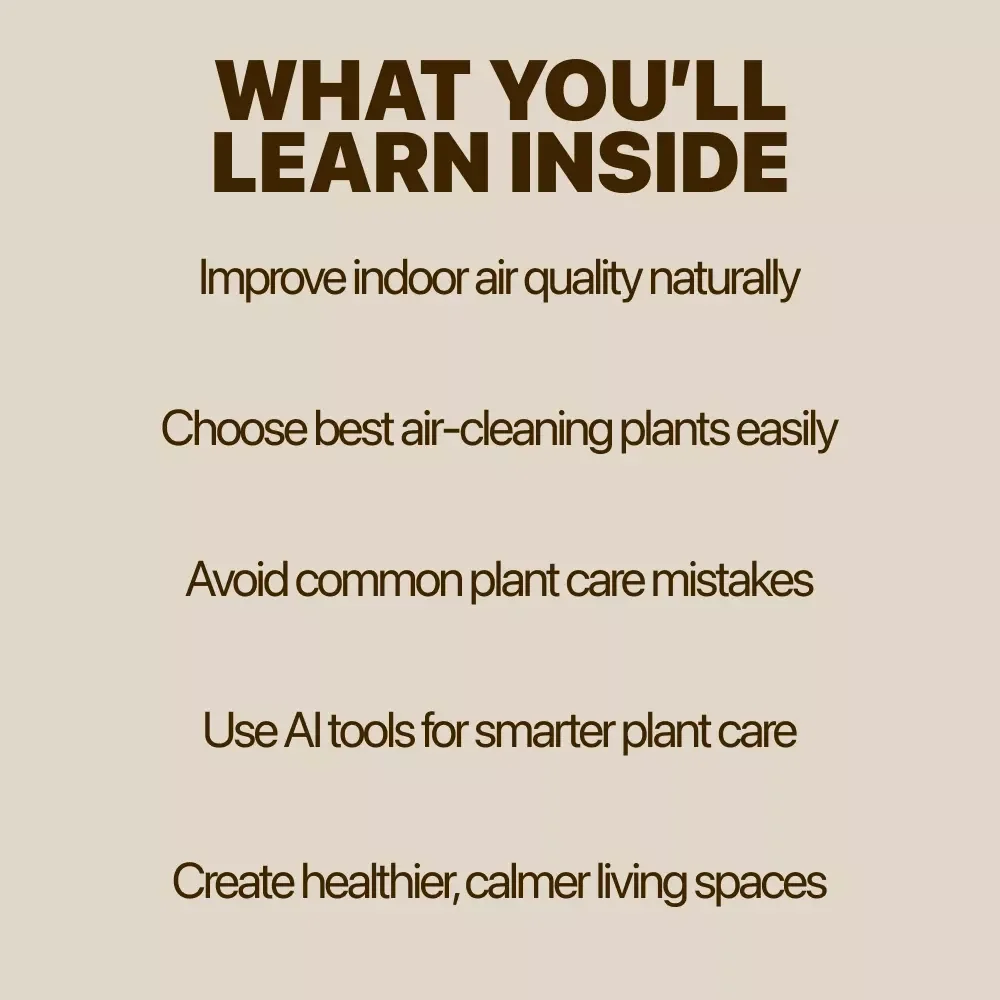 Air-Purifying Plants for a Healthier Home – Digital Guide to Indoor Plants That Clean Air, Easy Care Tips, Modern Indoor Garden eBook